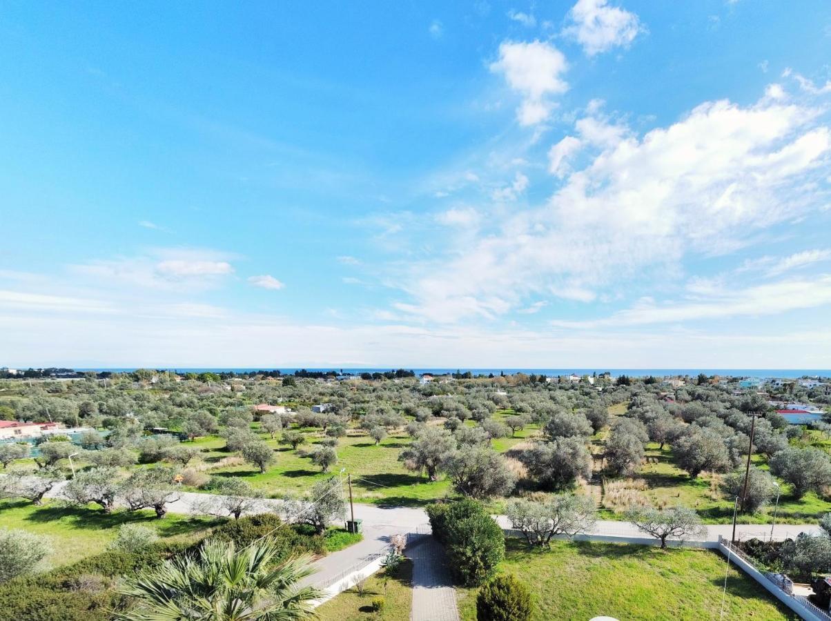 Villa Olive Grove Afantou Extérieur photo